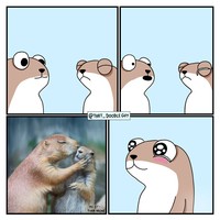 Untuk kalian yang sedang banyak pikiran, semoga sederet komik lucu ini bisa membuat harimu lebih berwarna.