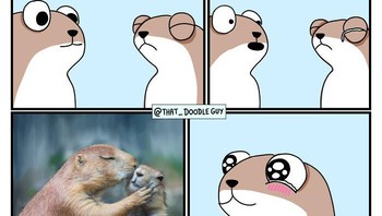 No caption needed. Foto: Bored Panda