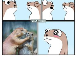 Komik Lucu dan Menggemaskan yang Bikin Harimu Lebih Ceria