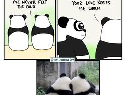 Komik Lucu dan Menggemaskan yang Bikin Harimu Lebih Ceria