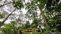 Pengelola objek wisata alam Lembah Cilengkrang, Uung memaparkan dari area parkir sampai ke lembah Cilengkrang membutuhkan waktu berjalan kaki sekitar 40 menit dengan jarak tempuh mencapai 2,3 kilometer.