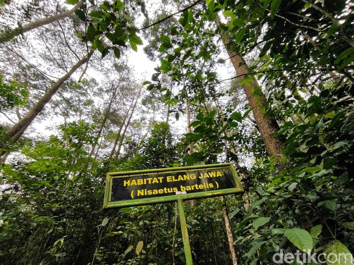 Lembah Cilengkrang, Kuningan.