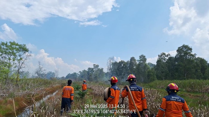 Petugas BPBD berusaha memadamkan api di lahan dekat Tol Palindra Ogan Ilir.