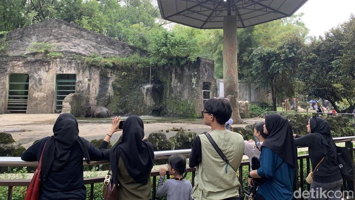 Taman Margasatwa Ragunan masih menjadi salah satu destinasi favorit warga saat long weekend Idul Adha 2025. (Mulia/detikcom)