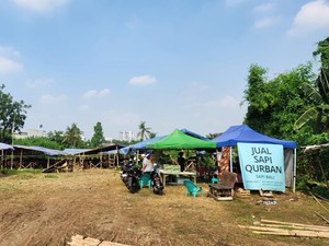Pedagang Sapi di Lahan BMKG yang Bayar Sewa ke GRIB Kini Kebingungan