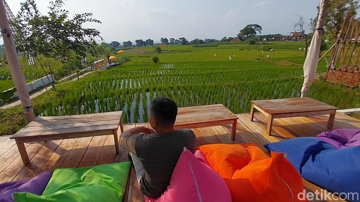 Tera Sawah Cafe & Resto Majalengka