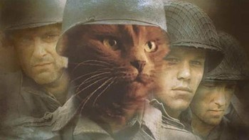 Siap berperang. Foto: (Bored Panda)