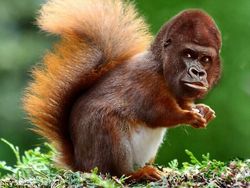 10 Editan Foto yang Keren Sekaligus Lucu Banget