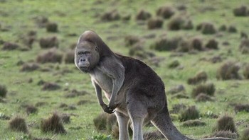 Minimal senyum sih kalau difoto. Foto: (Bored Panda)