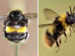 10 Editan Foto yang Keren Sekaligus Lucu Banget