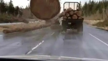 Film yang bikin trauma. Foto: via Bored Panda