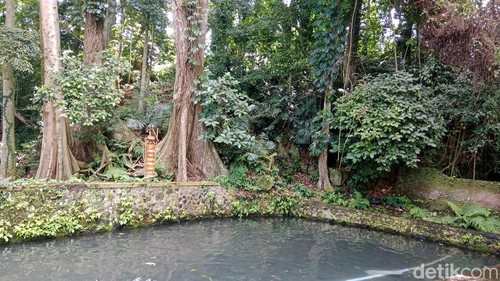 Kolam mata Air Aik Dewa Desa Aik Dewa Pringgasela Lombok Timur, Jumat (30/5/2025). foto : ( Sanusi Ardi W/detikBali).