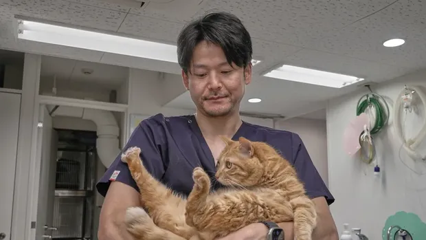 dr Soshin Yamamoto, salah satu dokter hewan di Jepang