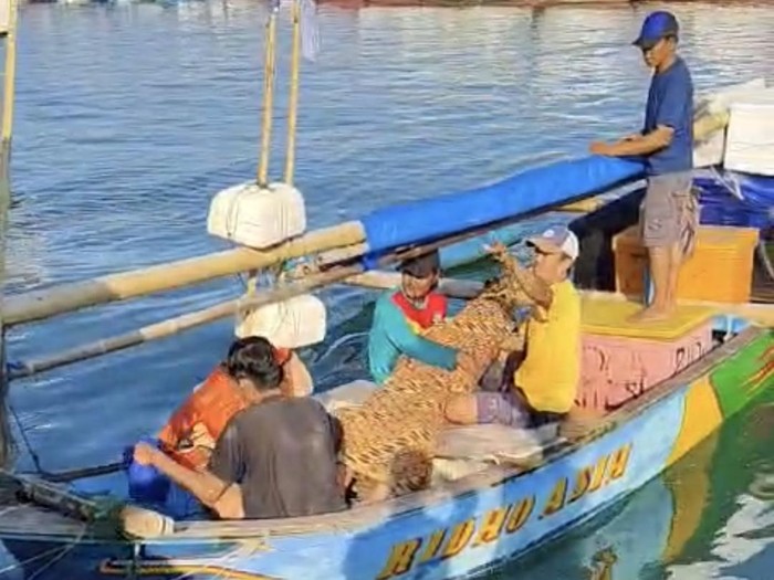 Evakuasi jasad korban tenggelam di Sukabumi.