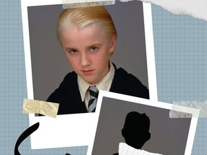 Siapa Pemeran 7 Karakter Penting Serial Harry Potter Ini?