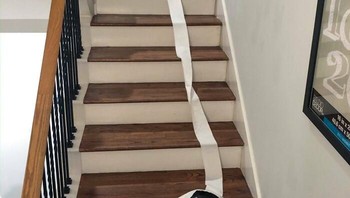 Sepertinya mesin pembersih ini sudah menyerah. Foto: (Bored Panda)