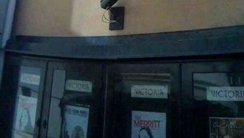 Cinta pada pandangan pertama? Foto: (Bored Panda)