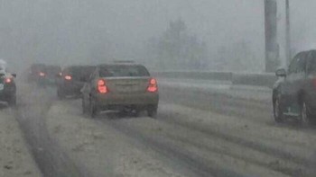 Maksudnya apa hei, tidak memberikan informasi dengan benar. Foto: (Bored Panda)