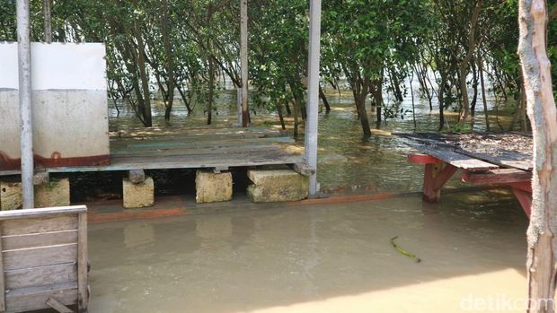 Kondisi tempat wisata Mina Mangrove, Desa Tunggulsari, Kecamatan Tayu, Kabupaten Pati, rusak akibat diterjang banjir rob, Sabtu (31/5/2025).