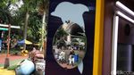 Liburan Seru Bersama Penguin di Ocean Dream Samudra Ancol