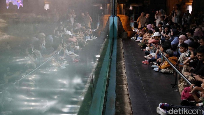 Wisatawan padati Ocean Dream Ancol saat liburan panjang. Pertunjukan penguin yang interaktif jadi daya tarik utama pengunjung.