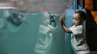 Libur panjang menjadikan Ocean Dream Ancol salah satu tujuan wisata favorit.