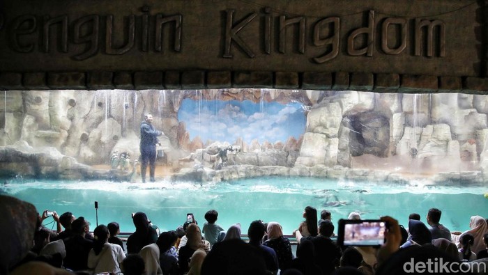 Liburan Seru Bersama Penguin di Ocean Dream Samudra Ancol Wisatawan padati Ocean Dream Ancol saat liburan panjang. Pertunjukan penguin yang interaktif jadi daya tarik utama pengunjung.