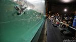 Liburan Seru Bersama Penguin di Ocean Dream Samudra Ancol
