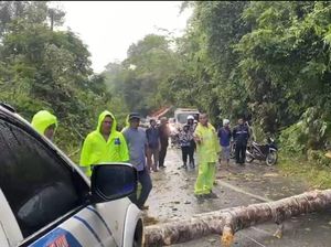 Gerak Cepat Polisi di Kampar Riau Evakuasi Pohon Tumbang yang Tutup Jalan