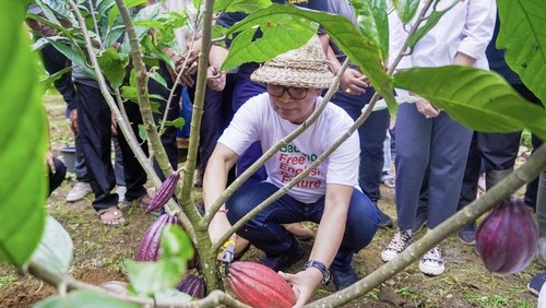 Bupati Badung I Wayan Adi Arnawa saat meninjau kebun kakao serta bertatap muka dengan petani di Banjar Lipah, Desa Petang, Kecamatan Petang, Badung, Sabtu (31/5/2025). (Foto: Dok. Istimewa)