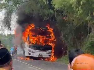 Dugaan Penyelundupan Rokok Ilegal di Balik Kebakaran Bus Pahala Kencana