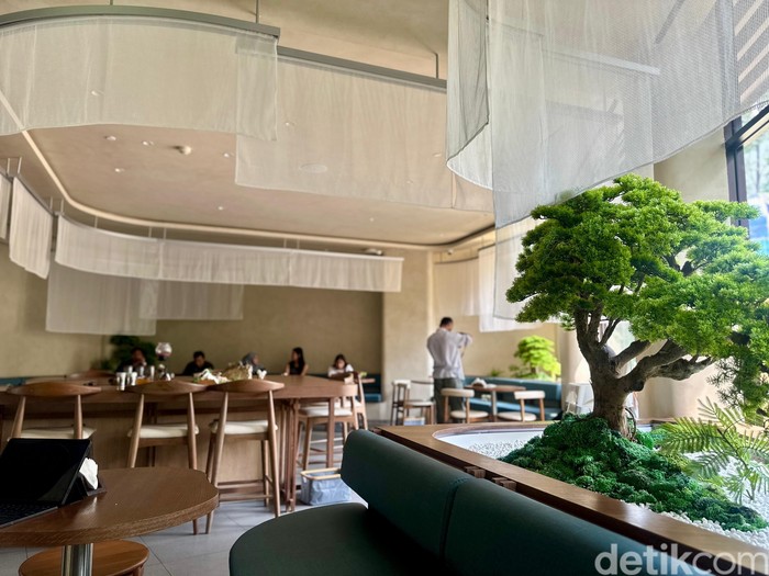 Kafe matcha Natsuka Kafe matcha Natsuka