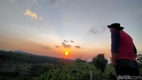 Pengelola Agrowisata Kutogoro, Kurniawan menyampaikan lahan seluas 4 hektare tengah dikembangkan menjadi kawasan wisata alam terpadu.