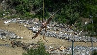 Potongan-potongan kayu yang menghalangi sungai Lonza yang dievakuasi dengan helikopter setelah Gletser Birch runtuh dan longsor besar dan menghancurkan desa Blatten, di Wiler, di Pegunungan Alpen Swiss, pada 31 Mei 2025. (Foto: AFP/FABRICE COFFRINI)