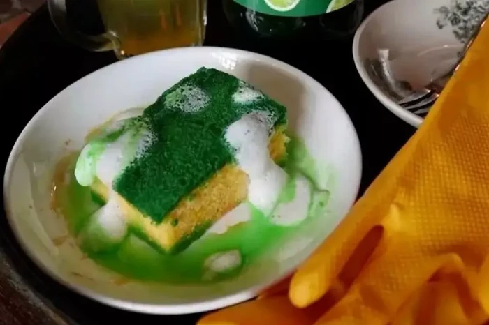 puding unik mirip spons untuk cuci piring