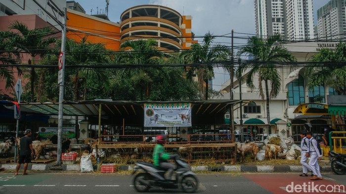 Warga beraktivitas di kawasan Tanah Abang, Jakarta, Senin (2/6/2025). Jelang Idul Adha, kawasan ini mulai dipenuhi aktivitas jual beli hewan kurban.