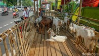 Peringatan tersebut disampaikan menyusul temuan aktivitas penjualan hewan kurban yang memanfaatkan ruang publik di sejumlah titik di Jakarta.  