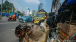 Lapak Hewan Kurban Penuhi Trotoar Tanah Abang