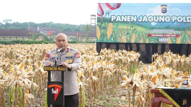 Polda Riau panen jagung dalam rangka mendukung ketahanan pangan.