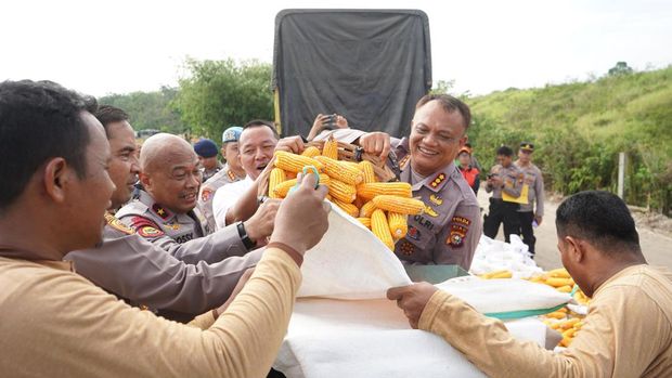 Polda Riau panen jagung dalam rangka mendukung ketahanan pangan.