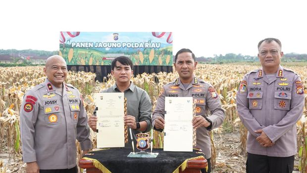 Polda Riau panen jagung dalam rangka mendukung ketahanan pangan.