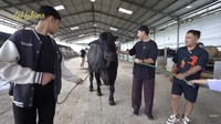 King Faaz, putra Fairuz A Rafiq, mengucapkan terima kasih kepada Raffi Ahmad saat Irfan Hakim memberikan laporan dengan video call. Makasih Om Raffi, ucap Faaz dilihat dari channel YouTube deHakims, Senin (2/6/2025). Foto: dok. Capture Channel YouTube de Hakims