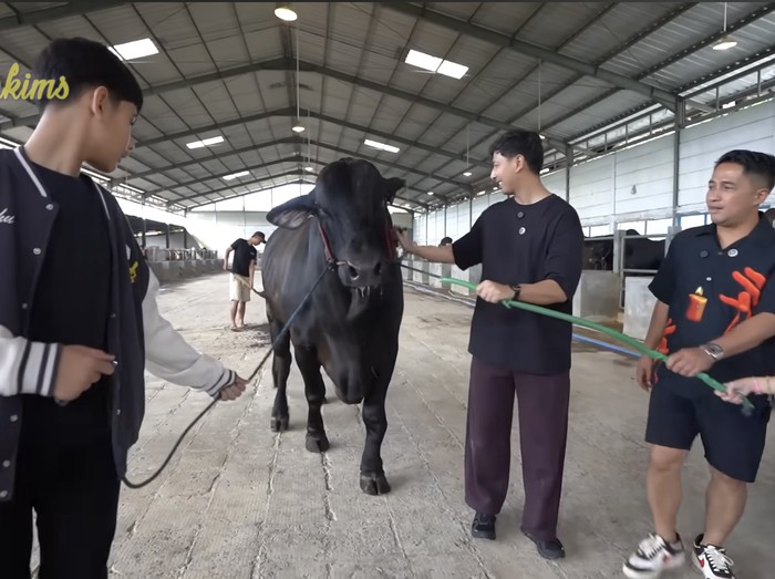 Sonny Septian Sapi kurban Sonny Septian