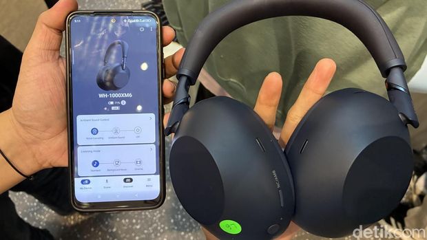 Sony WH-1000X M6