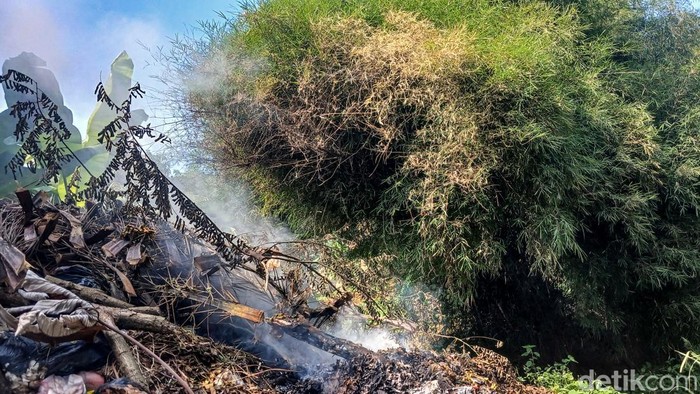 Perilaku warga yang membakar sampah sembarangan masih sering ditemukan di sekitar kita. Dampaknya, bisa membuat orang lain menderita ISPA.
