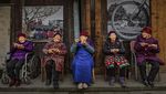 10 Foto Makanan Keren yang Menangkan 2025 World Photography Awards