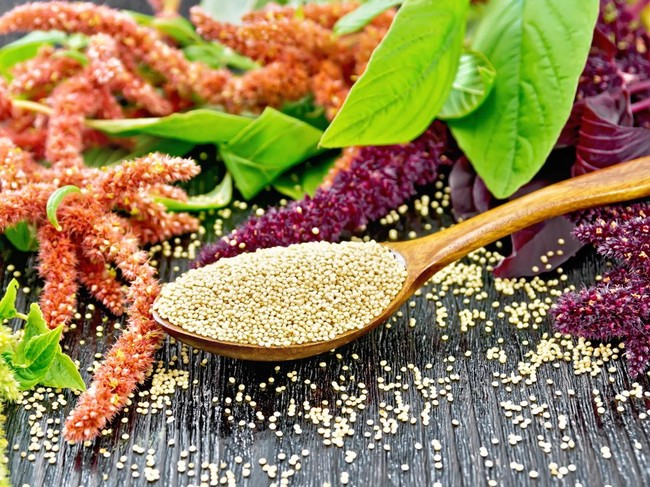 Amaranth atau biji bayam.