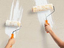 7 Cara Mengatasi Tembok Lembap dan Berjamur Beserta Tips Mencegahnya