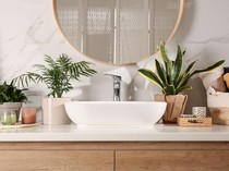 5 Tanaman yang Bisa Tumbuh di Kamar Mandi dan Cara Merawatnya