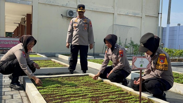 Ketahanan pangan Polresta Sidoarjo